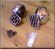 accessori moto